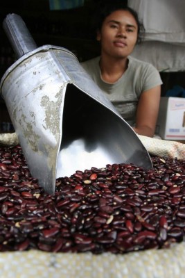 Gobierno de Honduras sugiere la compra de frijol negro por barato