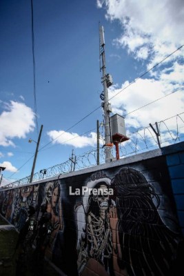 Pandilleros extorsionan porque tienen acceso a internet