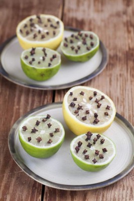 Seis repelentes naturales con aromas