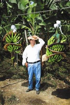 Cita con la música y el oro verde