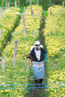 Pueblo emprendedor en el centro de Honduras