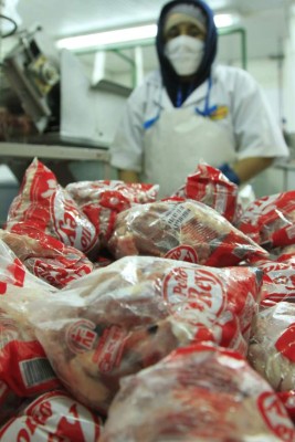 Honduras se alista para entrar al mercado de carne de pollo en Estados Unidos