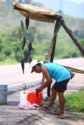 El Lago de Yojoa, una joya hondureña por descubrir
