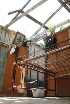 Honduras: unas 50 hectáreas de banano se perdieron por ventarrón