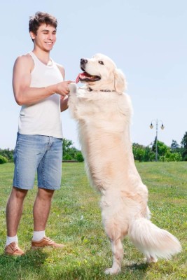 Las mascotas pueden ser inestimables para las personas con problemas de salud mental