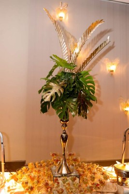 Doble fiesta por el éxito de Nasry y Miguel Ángel Handal