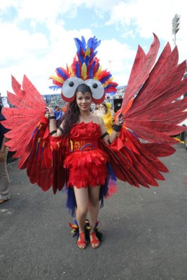 Algarabía, aplausos y fervor cívico inundan Tegucigalpa