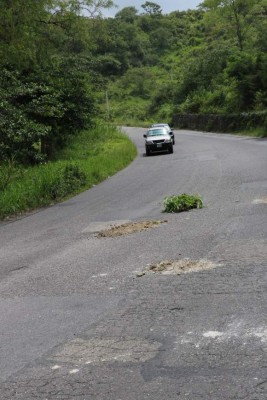 Foto: La Prensa