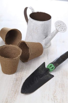 Gardening Tools on a light wooden background