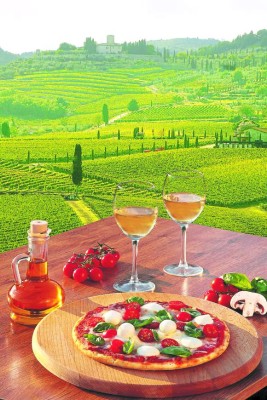 Regiones vinícolas para hacer enoturismo