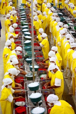 Exportación de camarón aumentó un 14% a junio