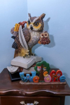 Un abogado con más búhos en su bufete que expedientes judiciales