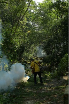 Limpian y fumigan zonas turísticas de San Pedro Sula