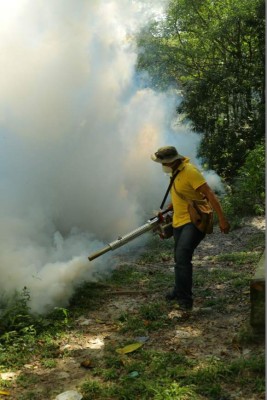 Limpian y fumigan zonas turísticas de San Pedro Sula