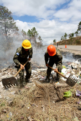 Disminuyen los incendios forestales