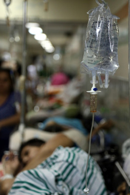 El zancudo no da tregua en San Pedro Sula