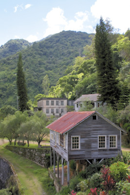 Los secretos de La Tigra