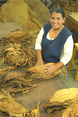 Temporada alta para conocer Honduras
