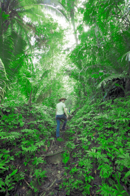 Lancetilla: un jardín de la ciencia
