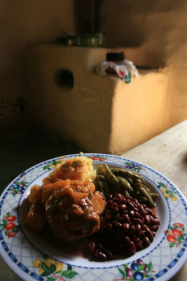 Descubra el impresionante Parque Nacional Cusuco