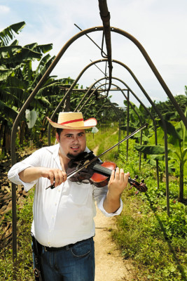 Cita con la música y el oro verde