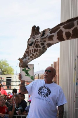 ACOMPAÑA CRÓNICA: SHM11. LAS VEGAS (NV, EE.UU.), 28/05/2017.- Fotografía del 21 de mayo de 2017, del presidente y propietario del Lion Habitat, Keith Evans, quien posa junto a la jirafa Ozzie y uno de sus dibujos en el interior del santuario animal ubicado a unas 16 millas al sureste de Las Vegas, Nevada (EE.UU.). Pocas jirafas pueden presumir del arte con el que ha nacido Ozzie y es que este mamífero de tres años de edad que reside en un santuario para leones de Nevada (EE.UU.) pinta, y por si fuera poco sus obras se comercializan razonablemente bien. Con casi 4 metros de altura y un peso de 635 kilos, Ozzie, un ejemplar masculino de esta especie, hace las delicias de los visitantes al santuario Lion Habitat, tras constatar lo que una brocha colocada en su hocico puede producir. EFE/Adriana Arévalo
