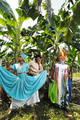 Cita con la música y el oro verde
