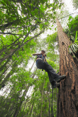 Descubra el impresionante Parque Nacional Cusuco
