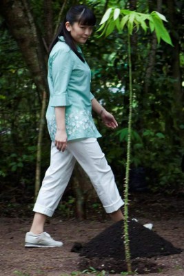 Lugar donde la dama japonesa plantó un arbol en el occidente de Honduras.