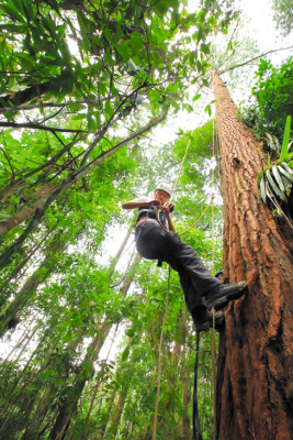 Lo invitamos a conocer la bella San Pedro Sula