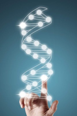 Comer fibra a diario evita que sufra de estreñimiento