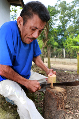 Los expertos hacen malabares con los trompos de Nano