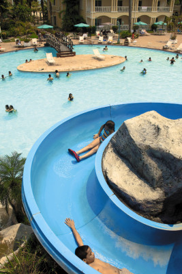 25 muertos fue saldo trágico del largo feriado