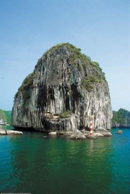 Con estas bellezas competimos