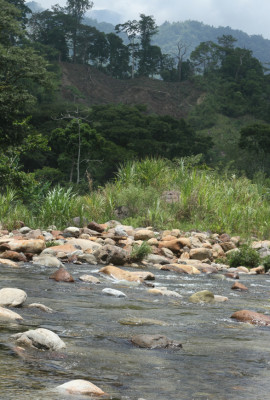 Organizarán congreso sobre cambio climático