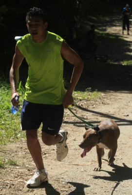Pitbulls lo dieron todo en el segundo DogRun en San Pedro Sula