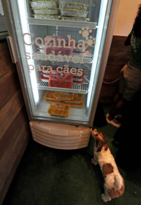 Un restaurante 100% natural para perros es la sensación en Rio de Janeiro