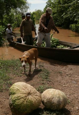 Se esperan dos días más de lluvias en Honduras