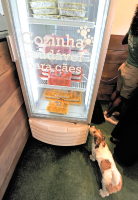 Primer restaurante para perros en Brasil