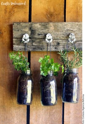 Ideas para embellecer tu jardín