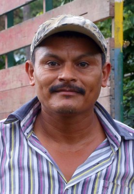 Corte de café comienza a dinamizar la economía