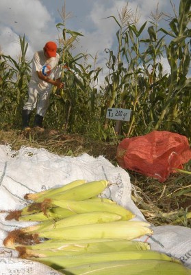 BCIE pide medidas para reducir efectos de la sequía