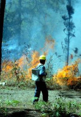 Tegucigalpa, sitiada por seis incendios