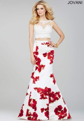 Rosas rojas, vista con la bella flor