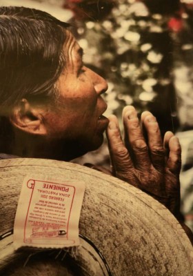 La fe guadalupana en 30 fotografías