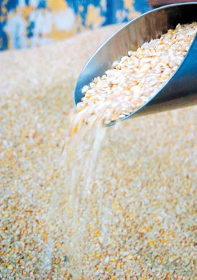 Comida cara, fenómeno agridulce