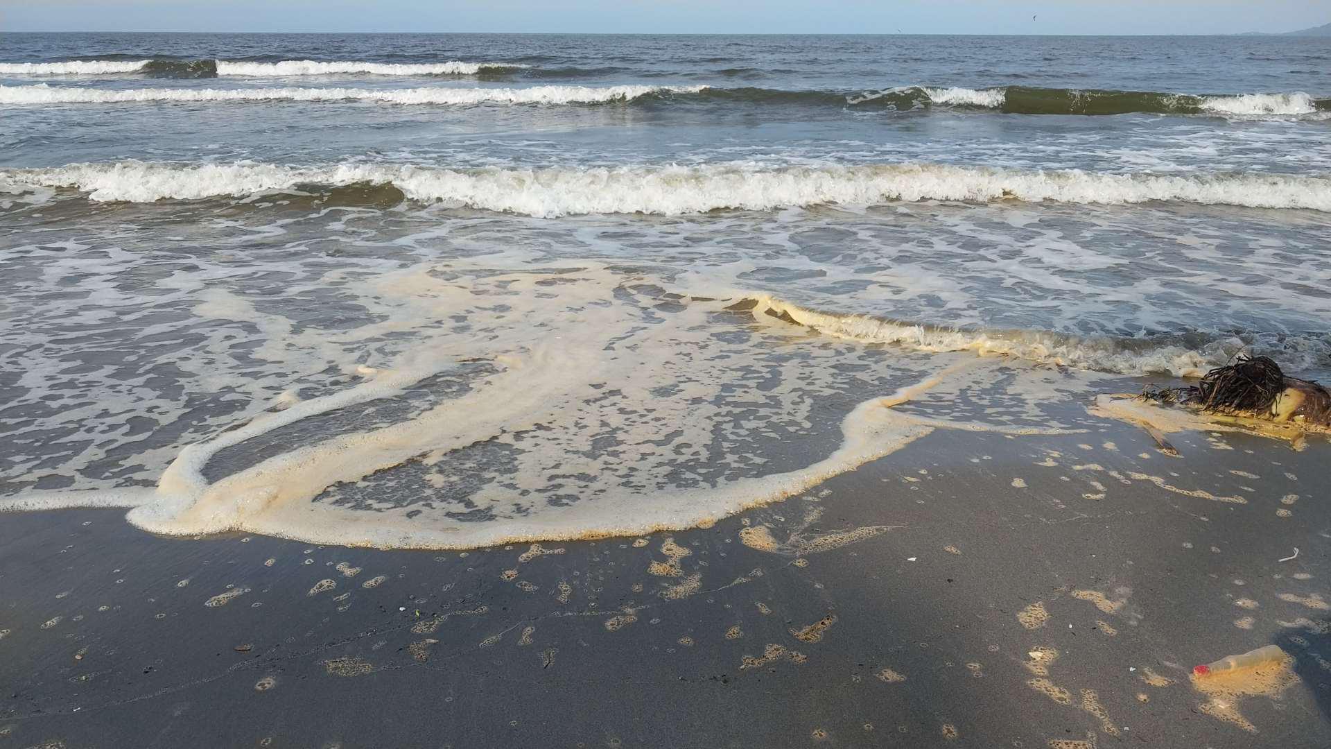 $!Más de 75 hectáreas de área costera se perdieron en barras en una década