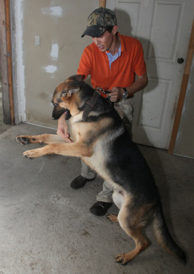 Alf, 'no es un perro drogo, trabaja por un premio”