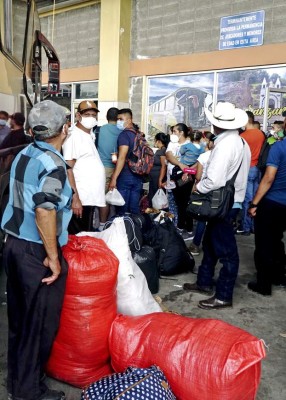 Temporada navideña revive movimiento en la terminal