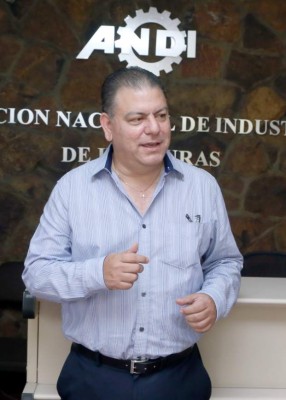 Palmeros le apuestan a la producción de biocombustible